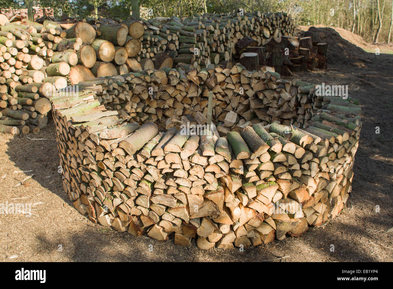 Holz hausen method of stacking firewood to dry Stock Photo, Royalty