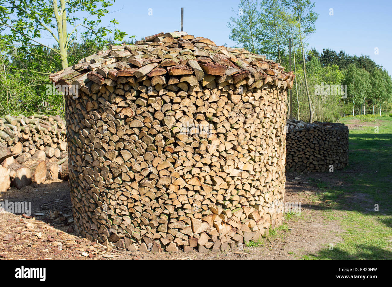 Holz hausen method of stacking firewood to dry Stock Photo, Royalty