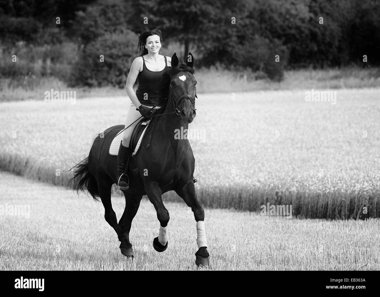 Female rider on horseback, Germany Stock Photo, Royalty Free Image