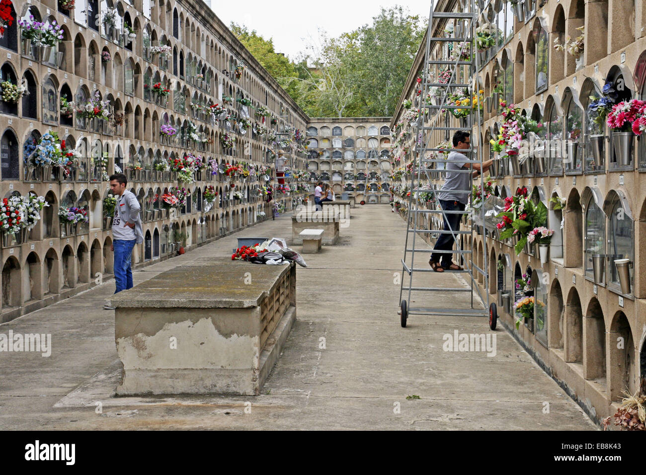 Niches, Poblenou Cemetery, Barcelona, Catalonia, Spain Stock Photo