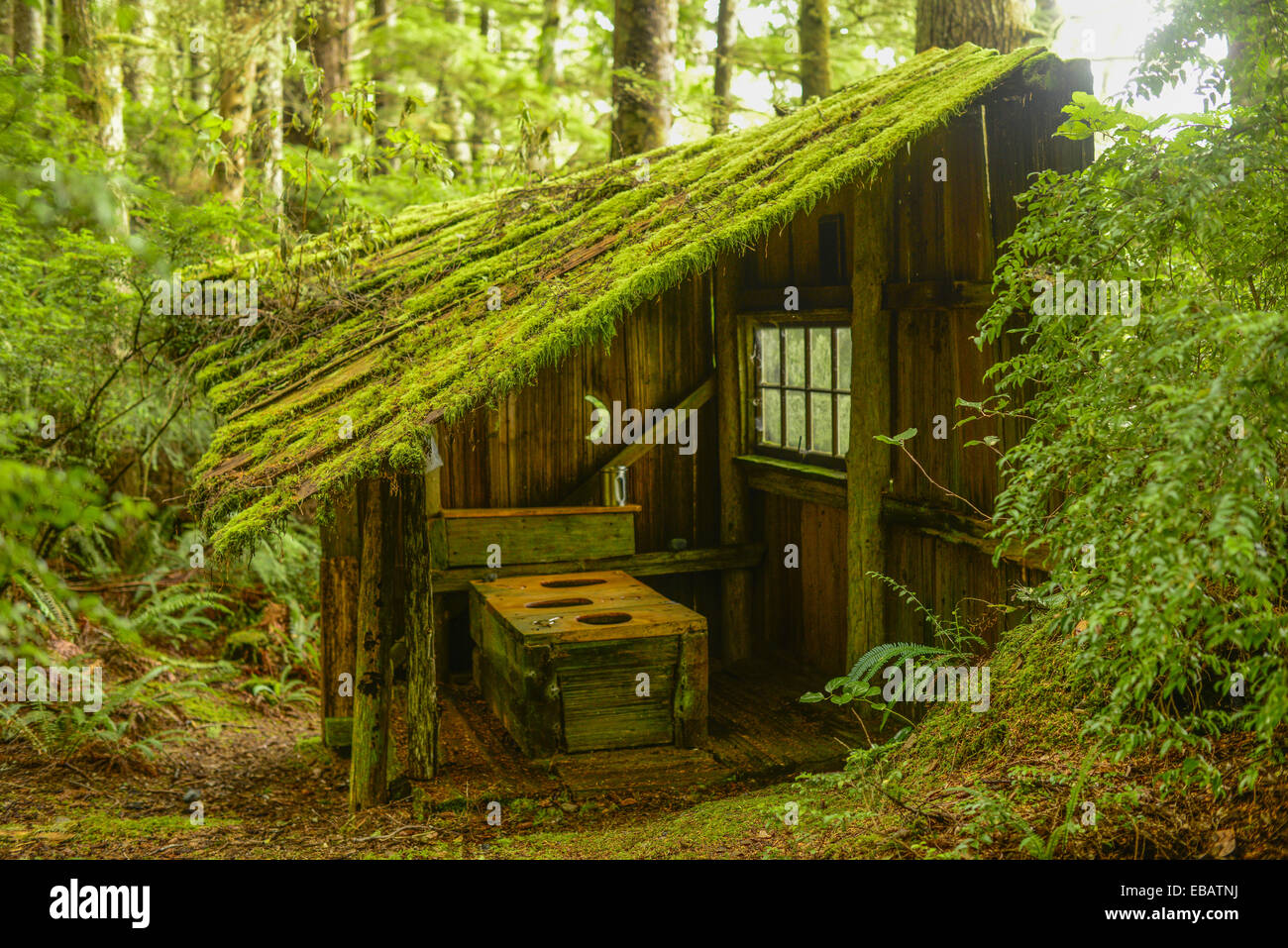 outdoor toilet hesquiat peninsula vancouver island bc canada stock image - Garden Sheds Vancouver Island outdoor toilet hesquiat peninsula vancouver island bc canada stock image - Garden Sheds Vancouver Island