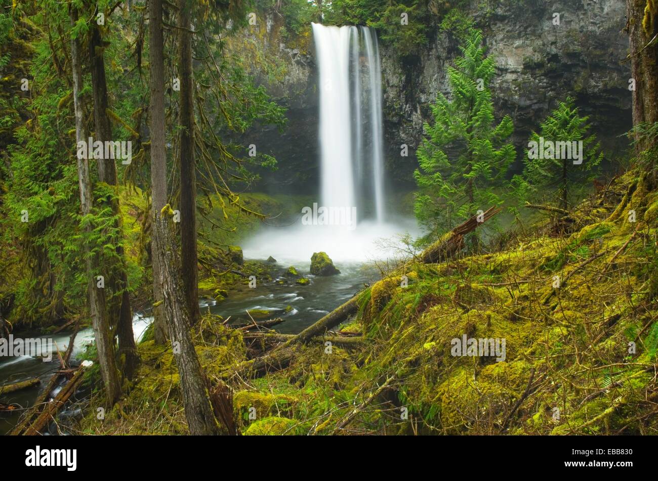 Big Creek Falls Gifford Pinchot National Forest Washington Stock Photo