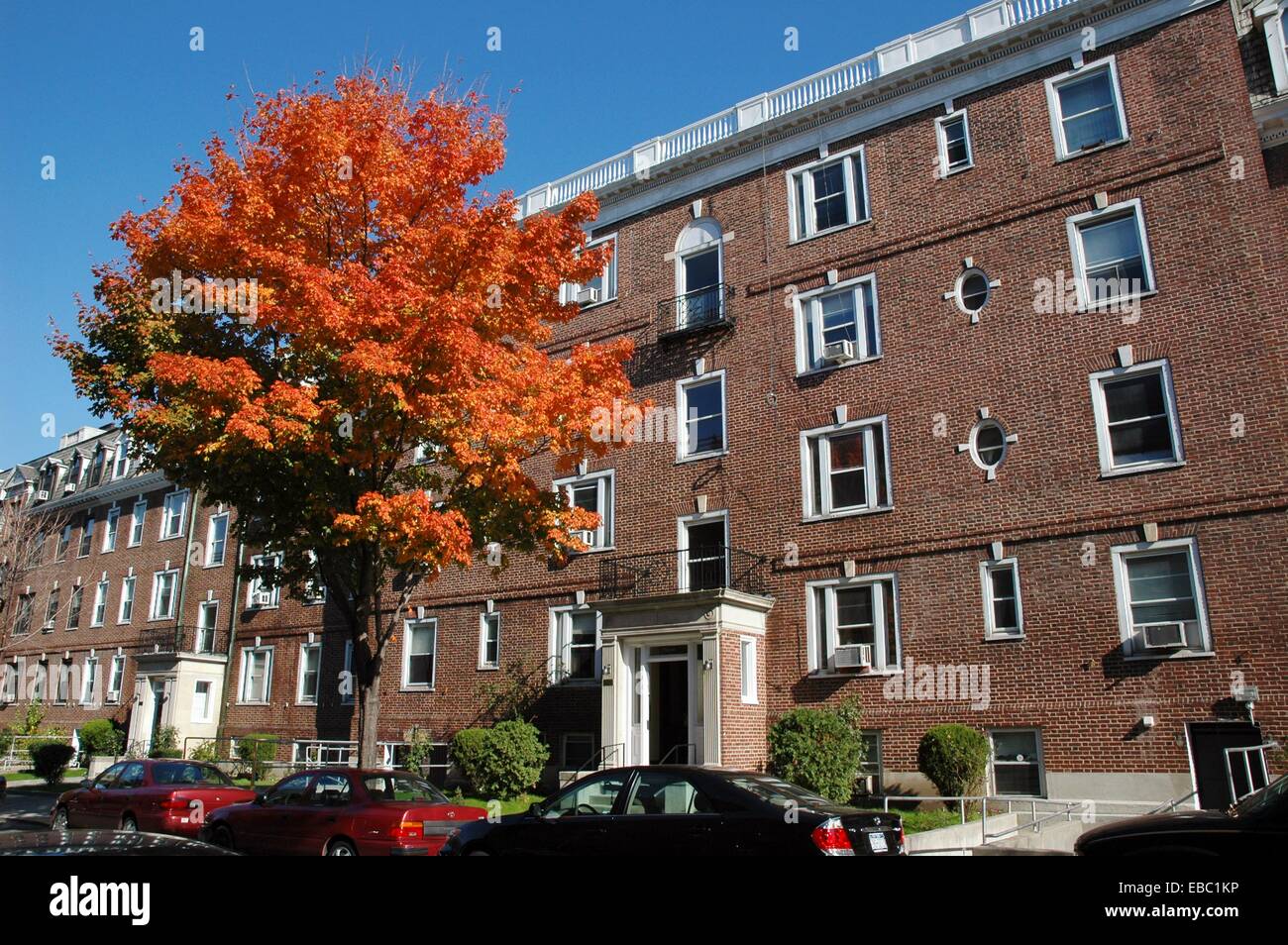 Apartment Building Queens fine apartment building queens elderly woman lives in located at Apartment Building Queens fine apartment building queens elderly woman lives in located at