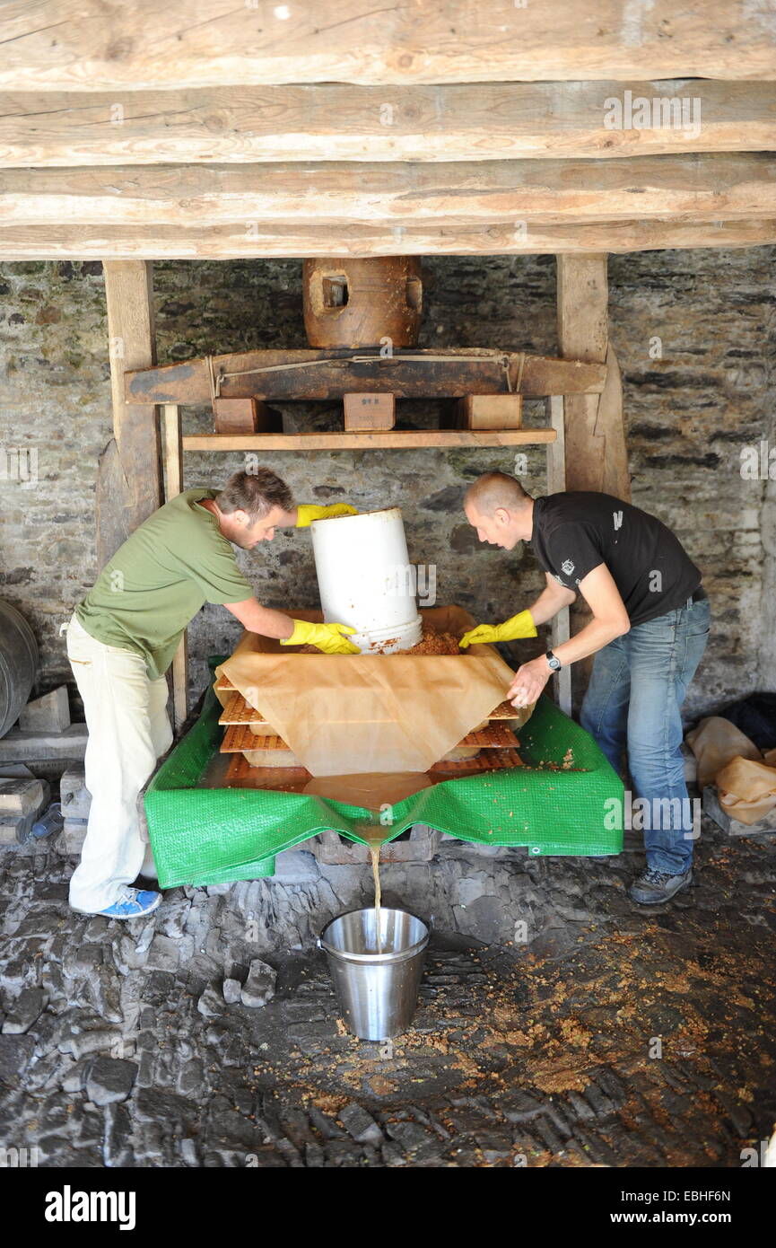 Making cider in Devon UK Stock Photo, Royalty Free Image 75987821 Alamy