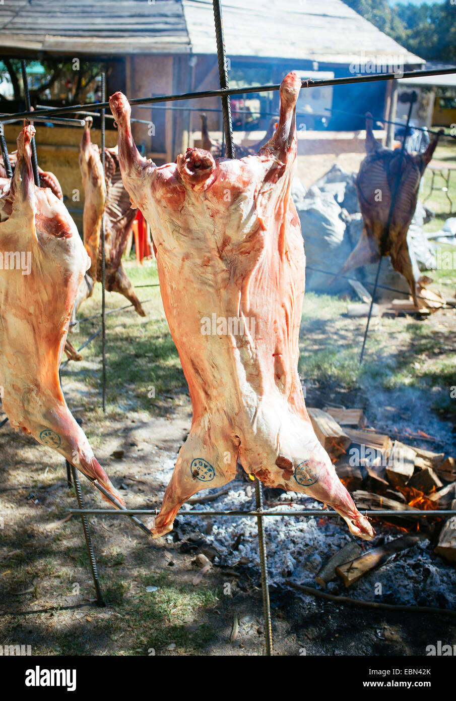 whole lamb roasted on the grill Stock Photo, Royalty Free Image ... for Whole Lamb Grill
59nar whole lamb roasted on the grill Stock Photo, Royalty Free Image ... for Whole Lamb Grill
59nar
