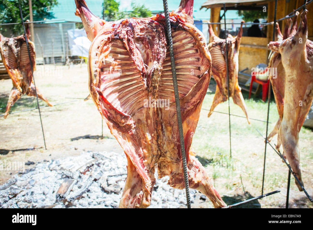 whole lamb roasted on the grill Stock Photo, Royalty Free Image ... for Whole Lamb Grill
284dqh whole lamb roasted on the grill Stock Photo, Royalty Free Image ... for Whole Lamb Grill
284dqh