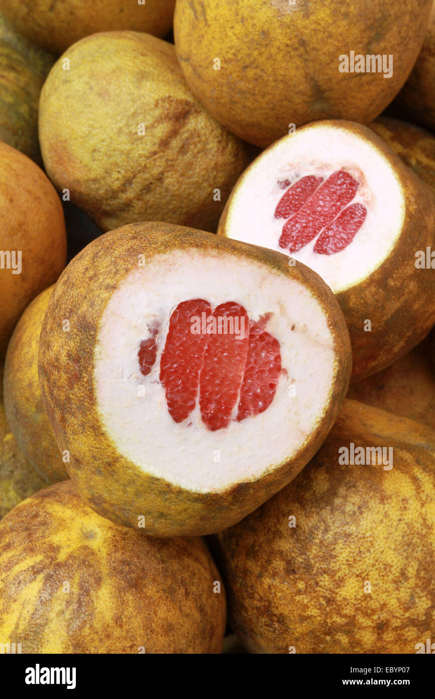 Dhaka 05 December 2014. 1) Fruit name Honey pomelo (Pomelo Stock Photo