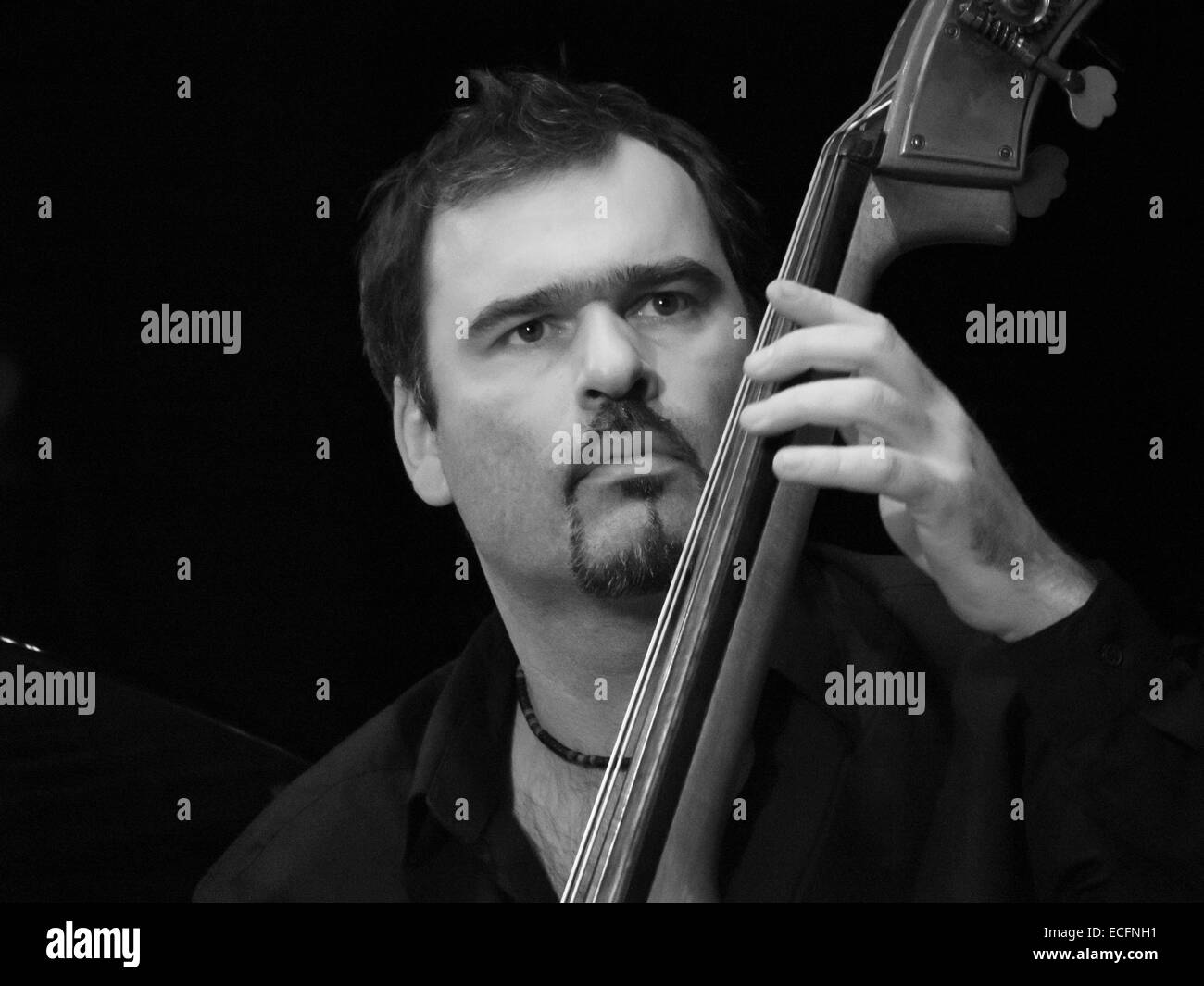 <b>Cedric Raymond</b> - double bass -- Stewe Houben Quartet performs in Kiev <b>...</b> - kiev-ukraine-13th-dec-2014-cedric-raymond-double-bass-stewe-houben-ECFNH1