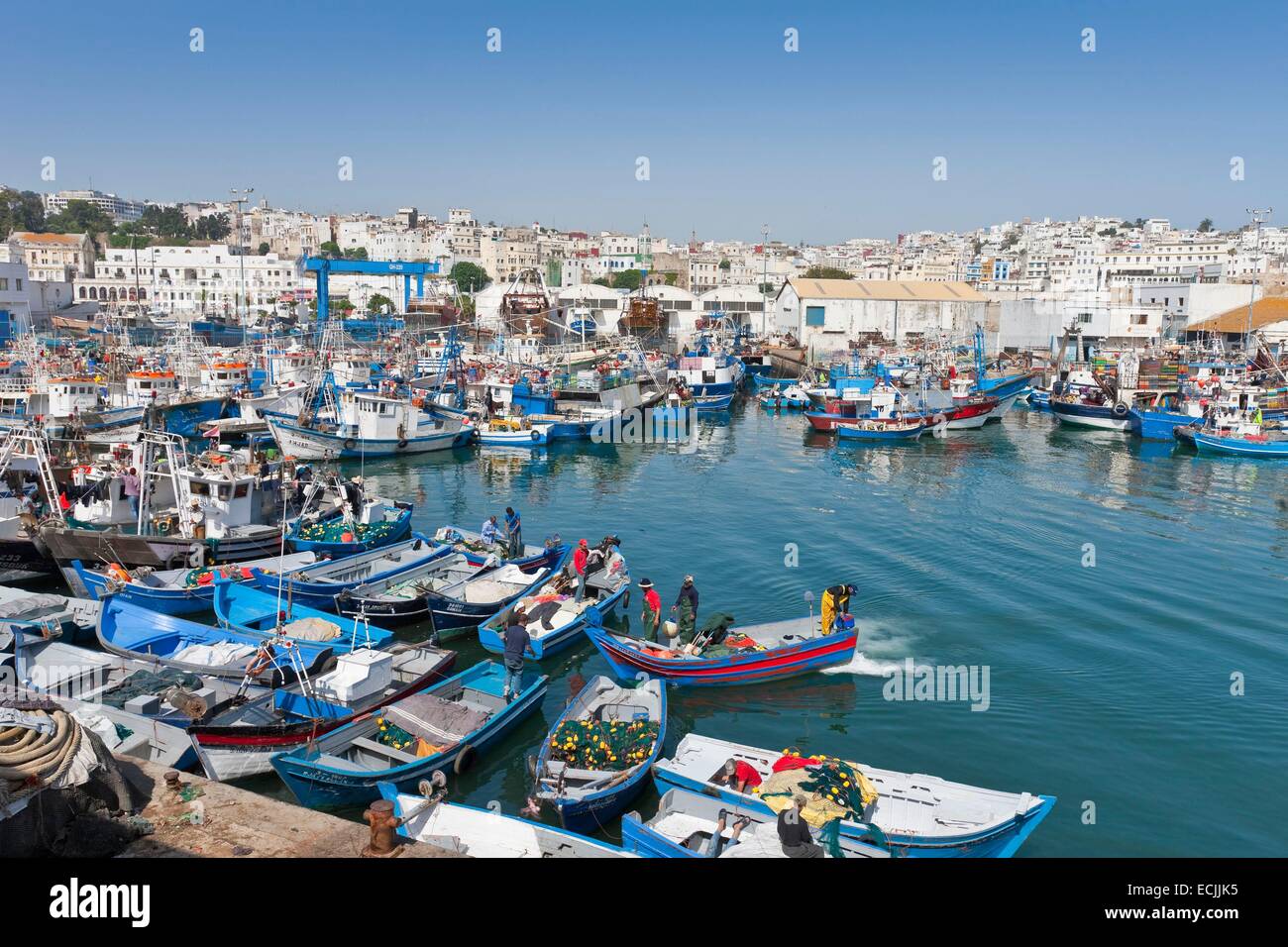 Morocco, Tangier Tetouan region, Tangier, the fishing port Stock Photo