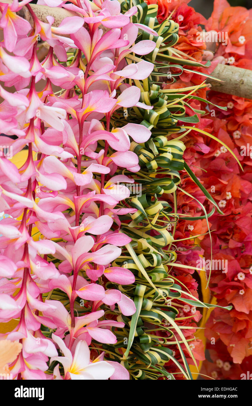 Republic of Vanuatu, Torres Islands, Loh Island. Colorful tropical