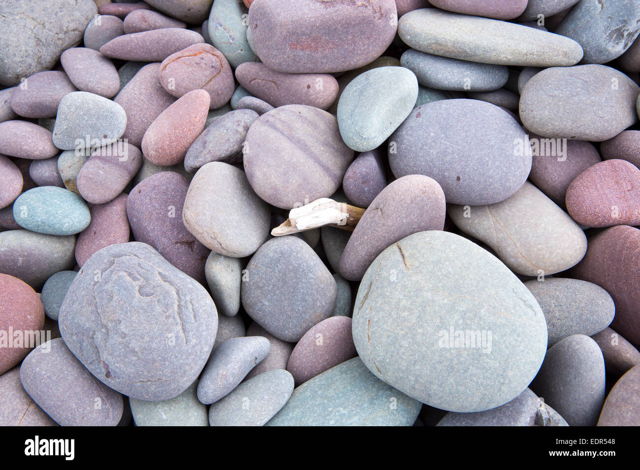Pastel Shades pebbles in pastel shades of pink, purple, grey and blue, on a Pastel Shades pebbles in pastel shades of pink, purple, grey and blue, on a