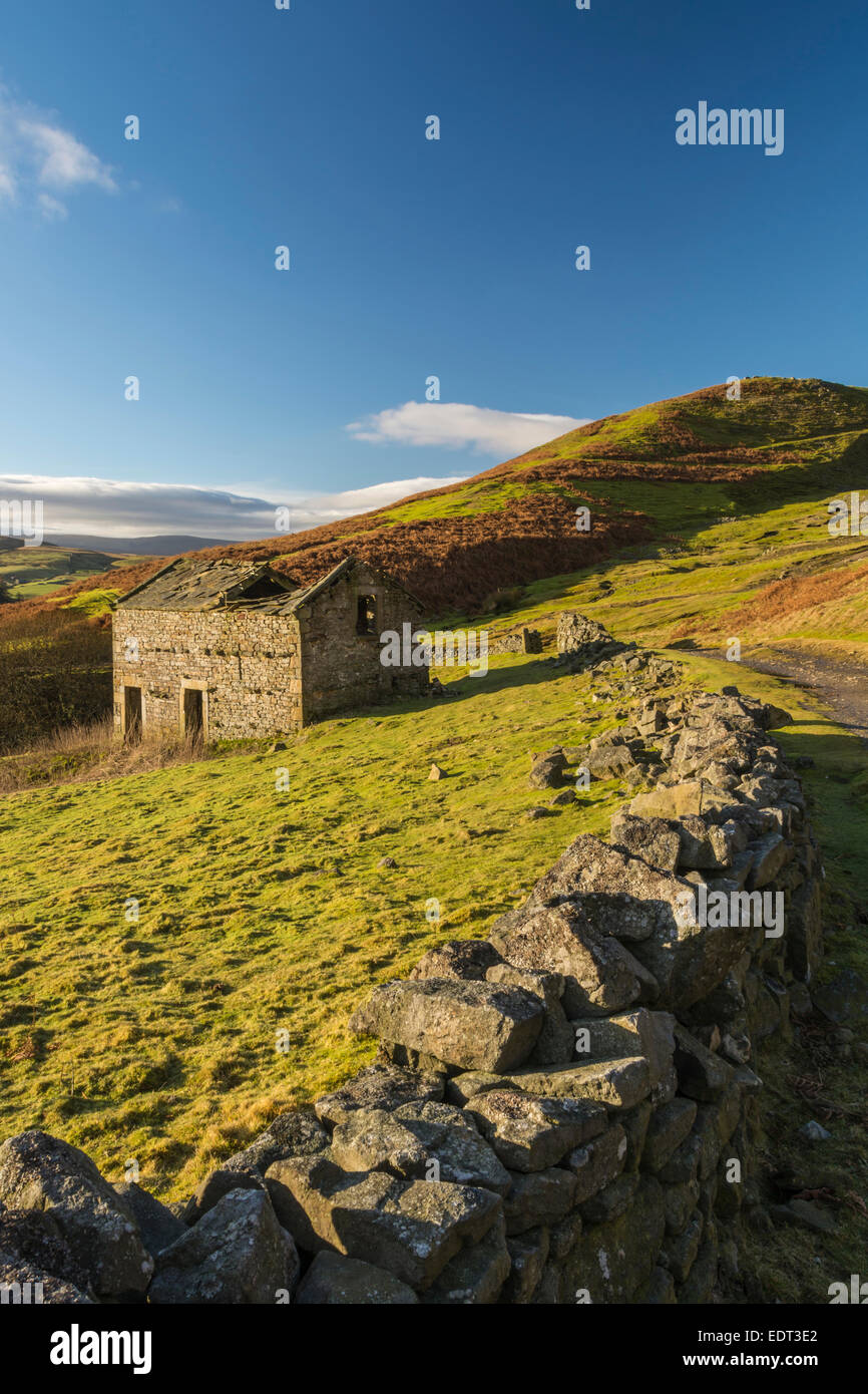 Derelict Stone Barn On The Yorkshire Dales Above Keld On A Cold January