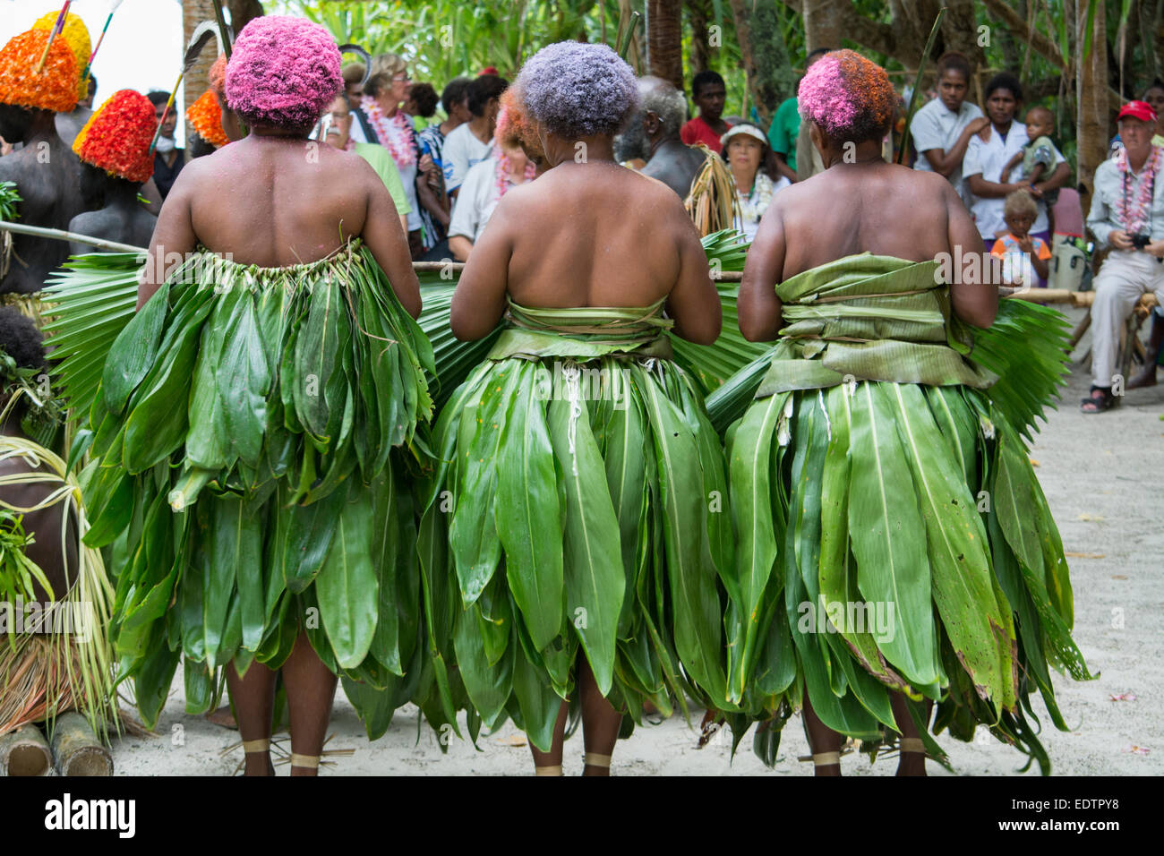 Republic of Vanuatu, Torres Islands, Loh Island. Ceremonial dance Stock Photo, Royalty Free