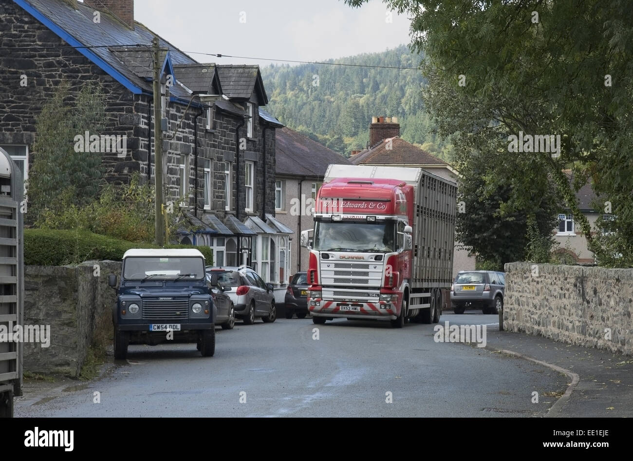 Livestock lorry travelling through town on way to market, Llanrwst Stock Photo, Royalty Free Livestock lorry travelling through town on way to market, Llanrwst Stock Photo, Royalty Free