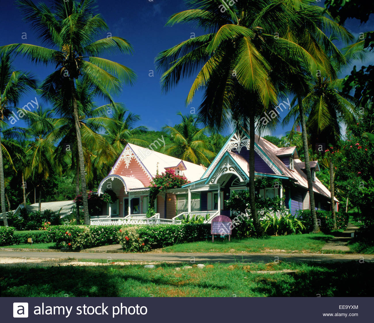 house-with-palms-on-the-island-mustique-