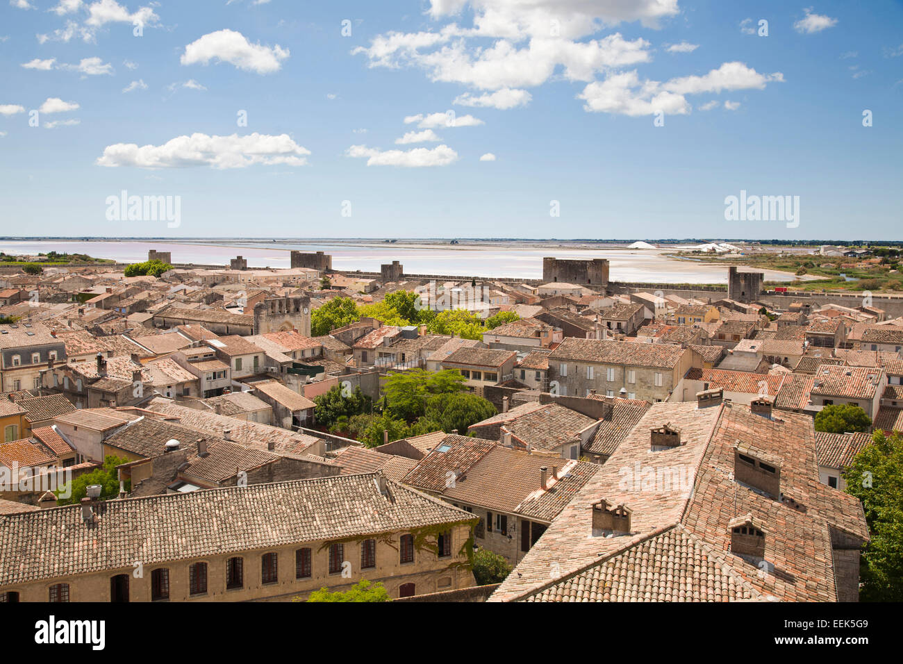 From Camargue Hi Res Stock Photography And Images Alamy