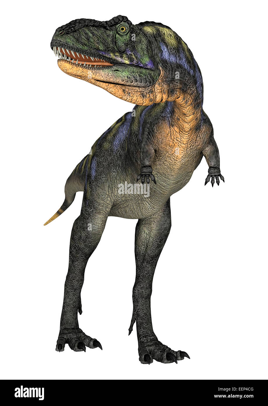 3D Digital Render Of A Walking Dinosaur Aucasaurus Isolated On White