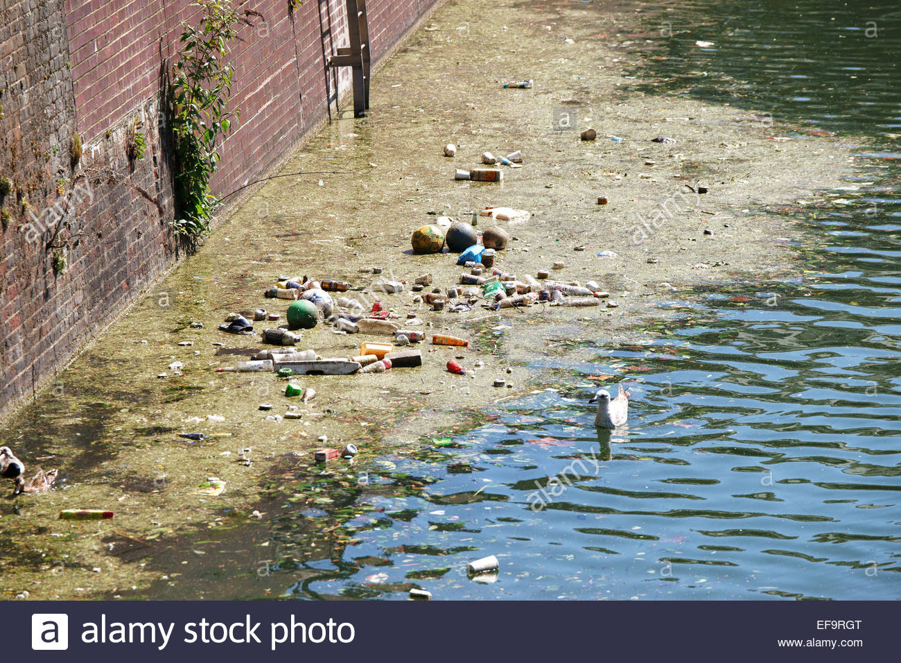 Thames River London Pollution | pollution in the river thames london uk stock photo Thames River London Pollution | pollution in the river thames london uk stock photo
