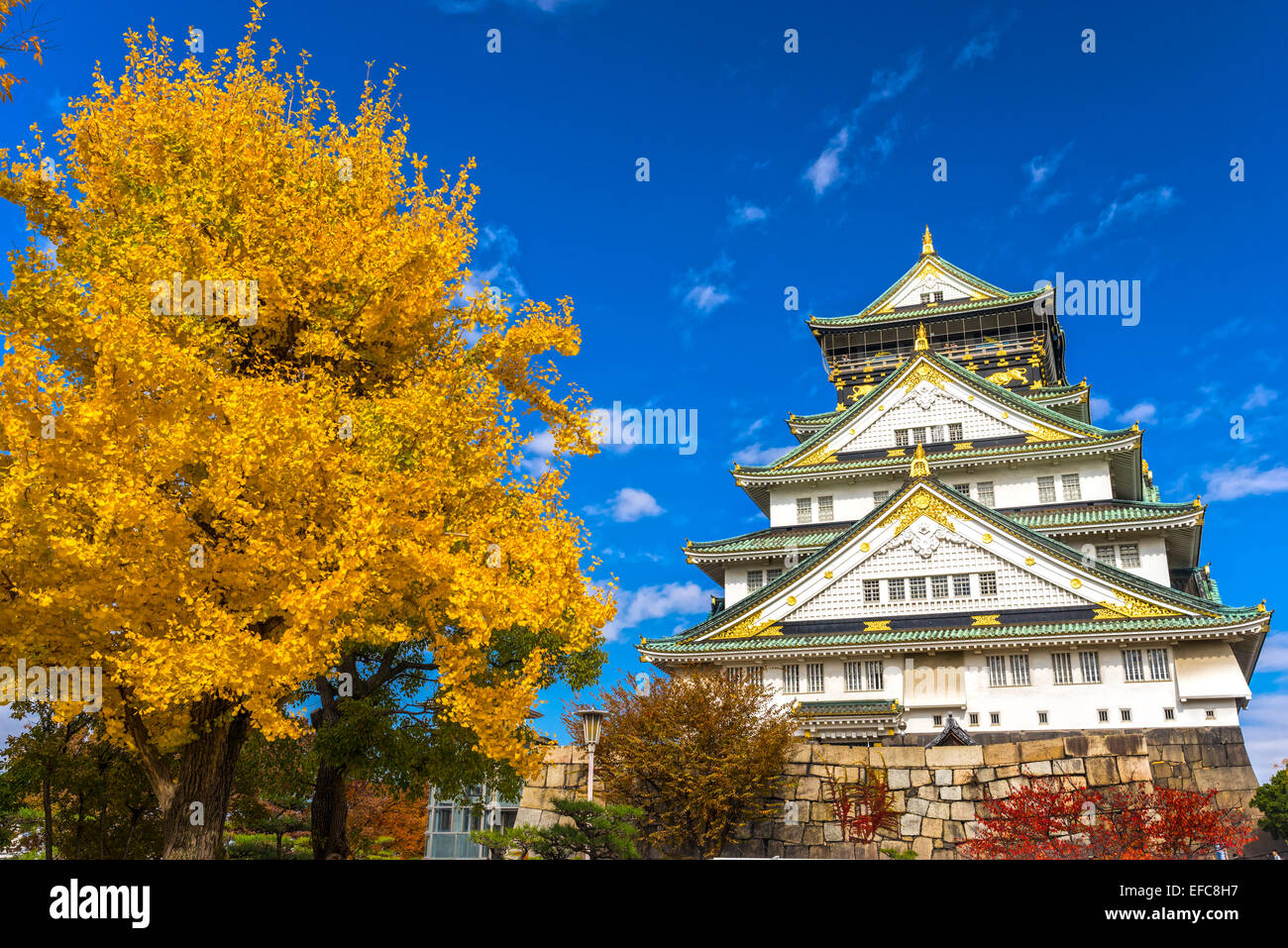 Osaka Castle In Osaka With Autumn Leaves Japan Stock Photo Alamy