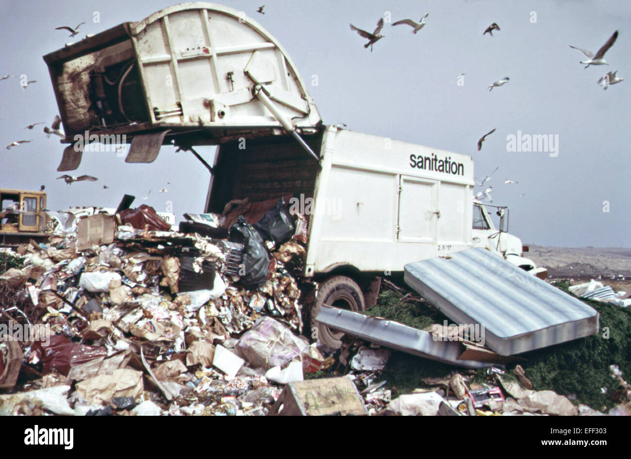 A garbage truck dumps trash in a landfill along the marshlands of Stock
