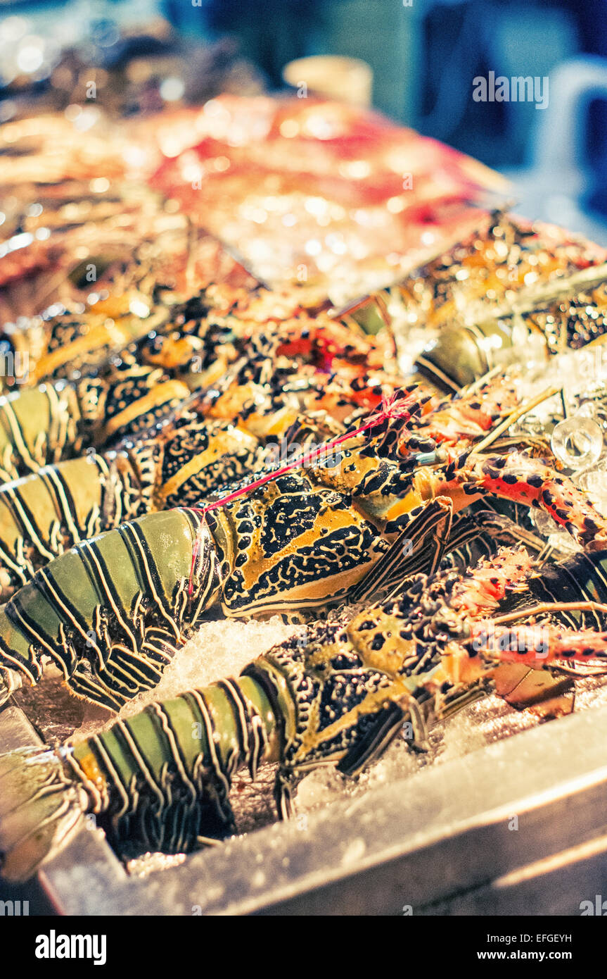 Fresh lobsters for seafood dinner in Boracay beach of Philippines Stock