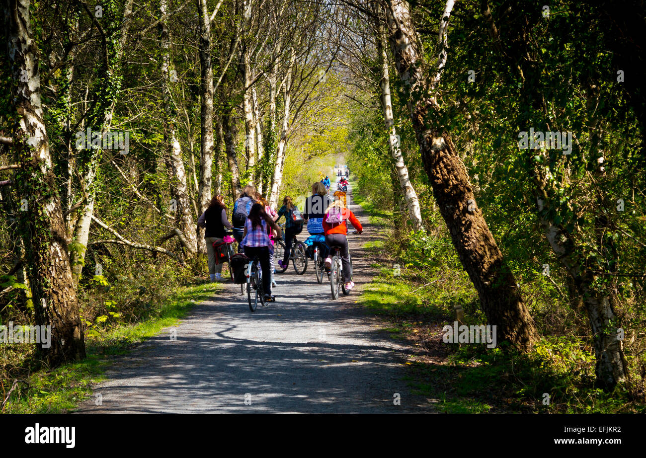 cyclists-on-mawddach-trail-which-runs-on