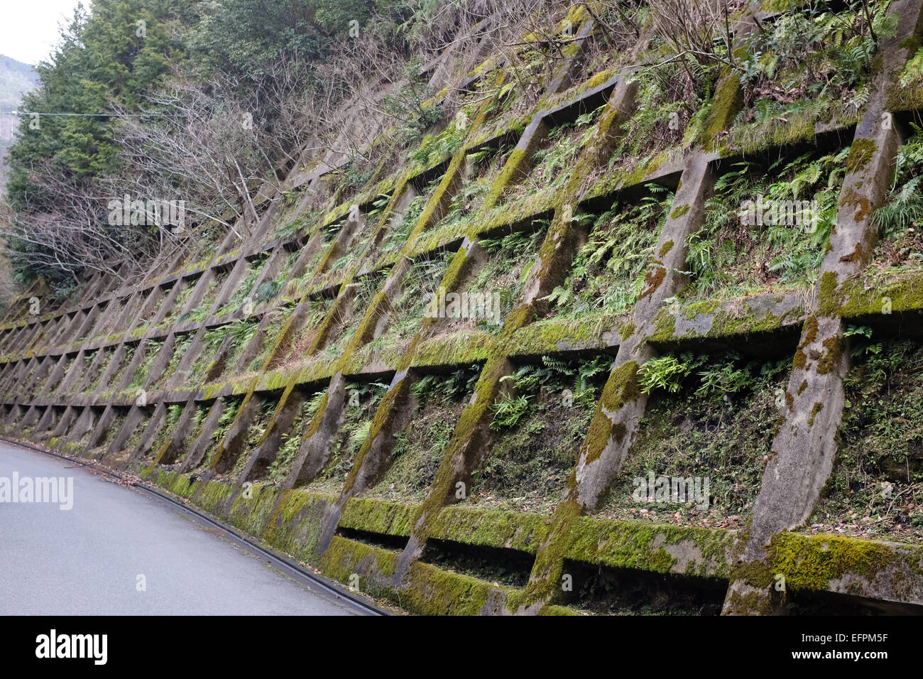 how to prevent landslide The term landslide describes downhill earth movements that can move slowly and cause damage gradually, a professional will be able to advise you of the best ways to prevent or reduce landslide risk, download the landslide safety checklist landslide safety checklist - english landslide safety checklist - arabic. how to prevent landslide The term landslide describes downhill earth movements that can move slowly and cause damage gradually, a professional will be able to advise you of the best ways to prevent or reduce landslide risk, download the landslide safety checklist landslide safety checklist - english landslide safety checklist - arabic.