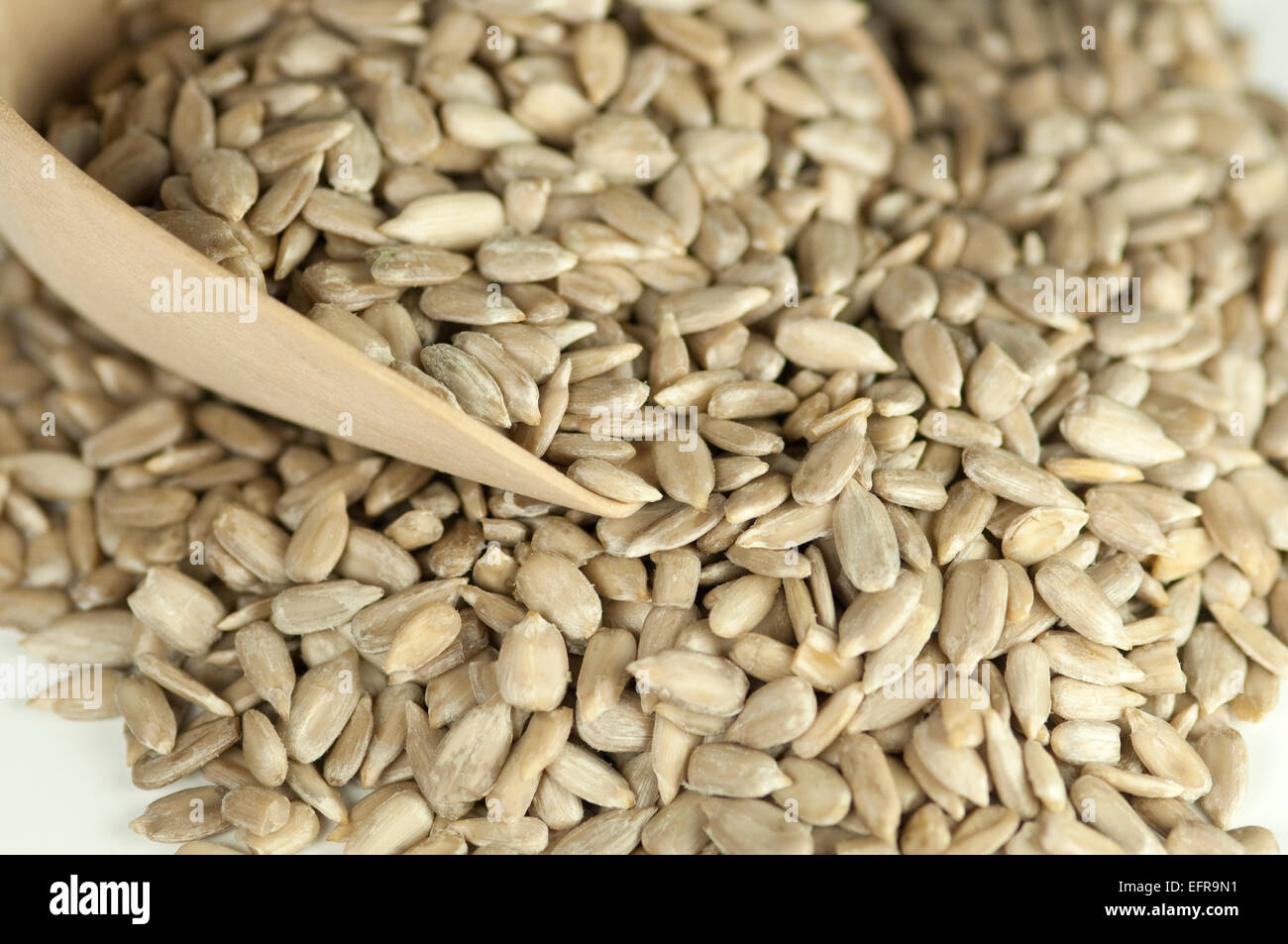 Sunflower Kernels Stock Photo, Royalty Free Image 78573853 Alamy
