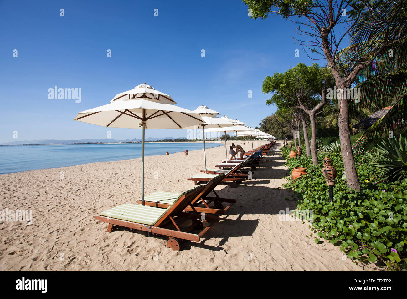 Beach With Beach Chairs Saigon Ninh Chu Resort On The Beach Of Phan