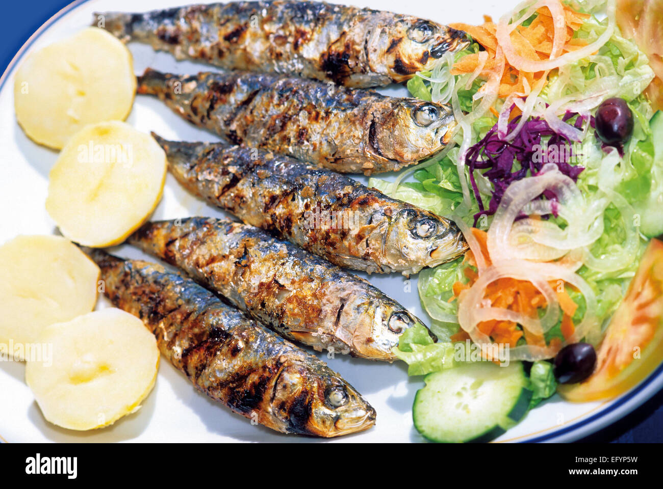 Portugal: Typical portuguese dish &amp;quot;Grilled Sardines Stock Photo ...