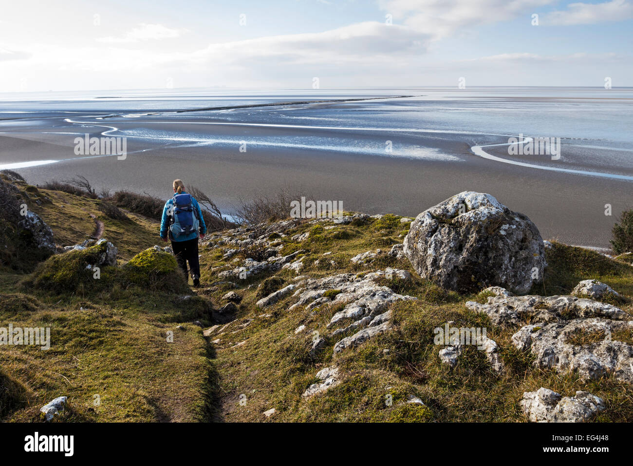 Morecambe Bay Nature Reserve From Jack Scout, Silverdale Lancashire