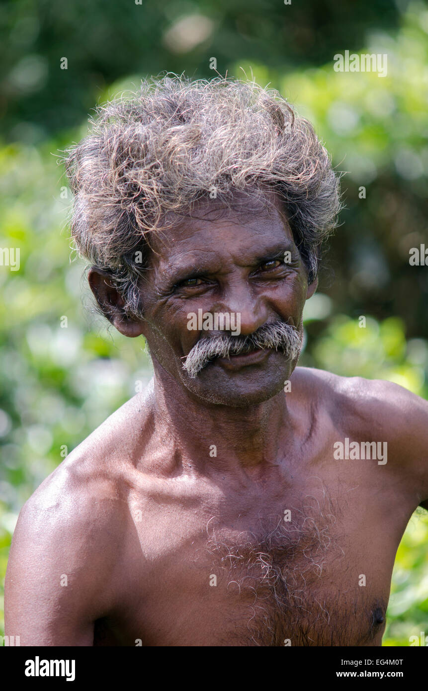 Portrait of a farmer, Hill country, Sri Lanka Stock Photo - portrait-of-a-farmer-hill-country-sri-lanka-EG4M0T
