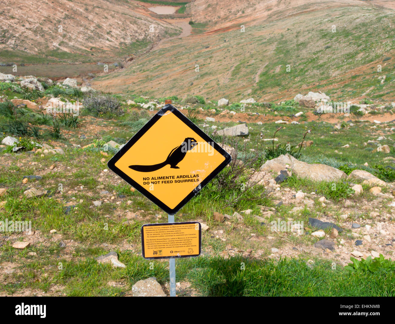 barbary-ground-squirrel-warning-sign-atl