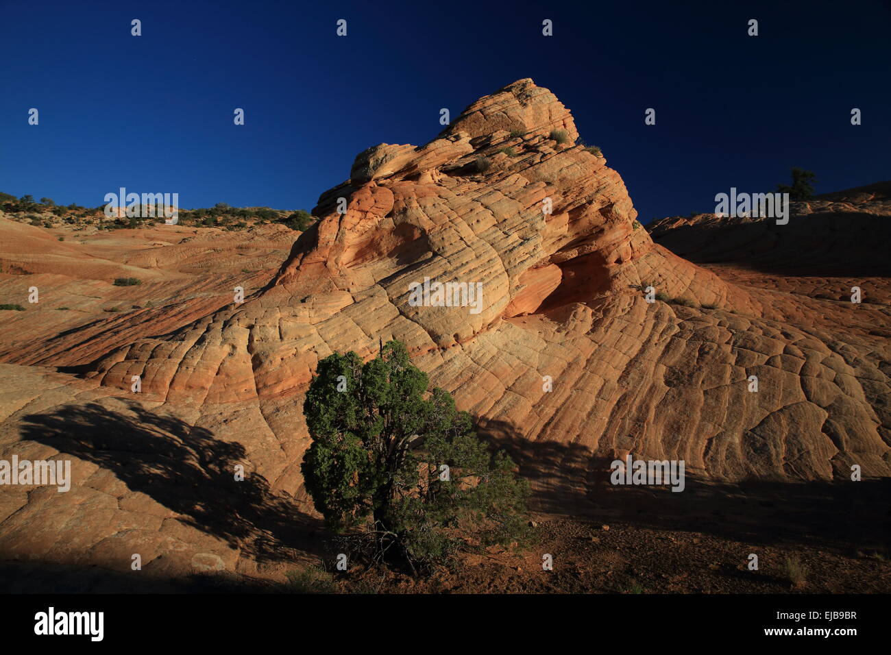 Yant Flat - Candy Cliffs Utah Stock Photo, Royalty Free Image: 80154139