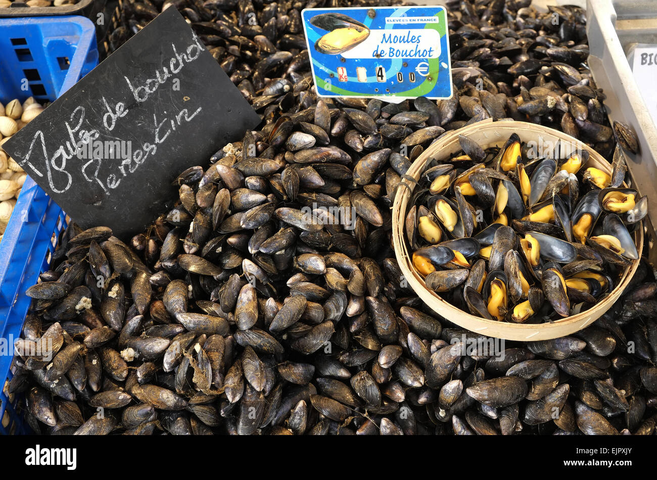'Moules de Bouchot' mussels on fish market stall, Manche Stock Photo