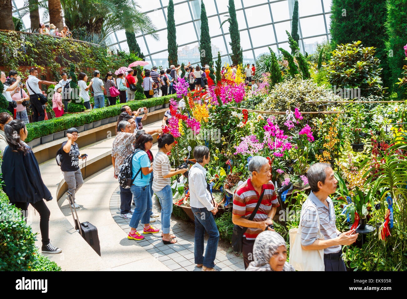 Garden By The Bay Flower flower dome conservatory. gardensthe bay. singapore, asia Garden By The Bay Flower flower dome conservatory. gardensthe bay. singapore, asia
