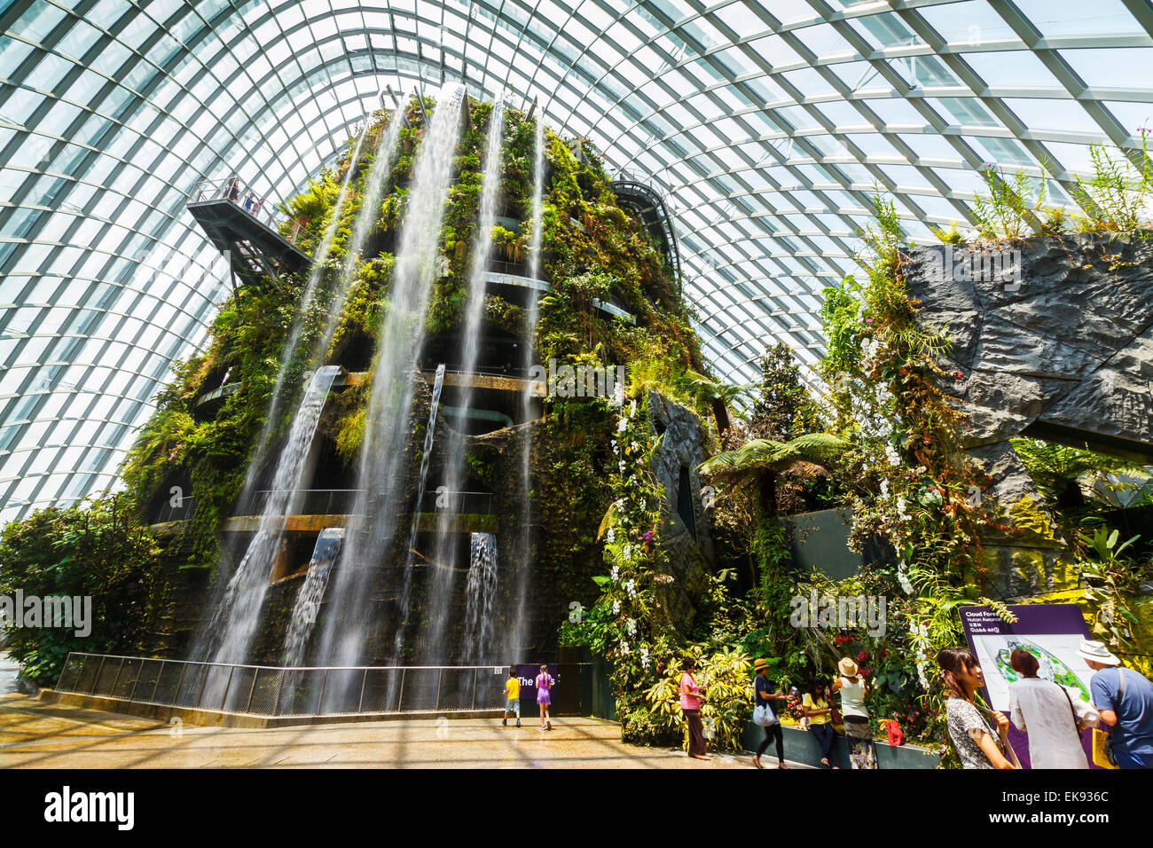 Garden By The Bay Cloud Forest cloud forest conservatory. gardensthe bay. singapore, asia Garden By The Bay Cloud Forest cloud forest conservatory. gardensthe bay. singapore, asia