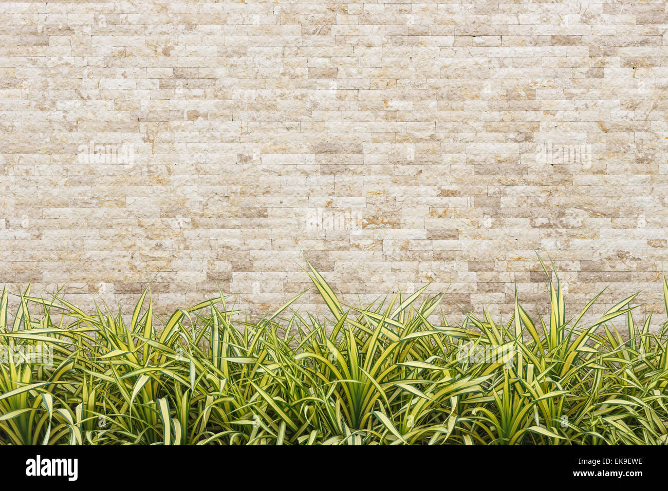 travertine stone wall and decorative garden stock photo, royalty travertine stone wall and decorative garden stock photo, royalty