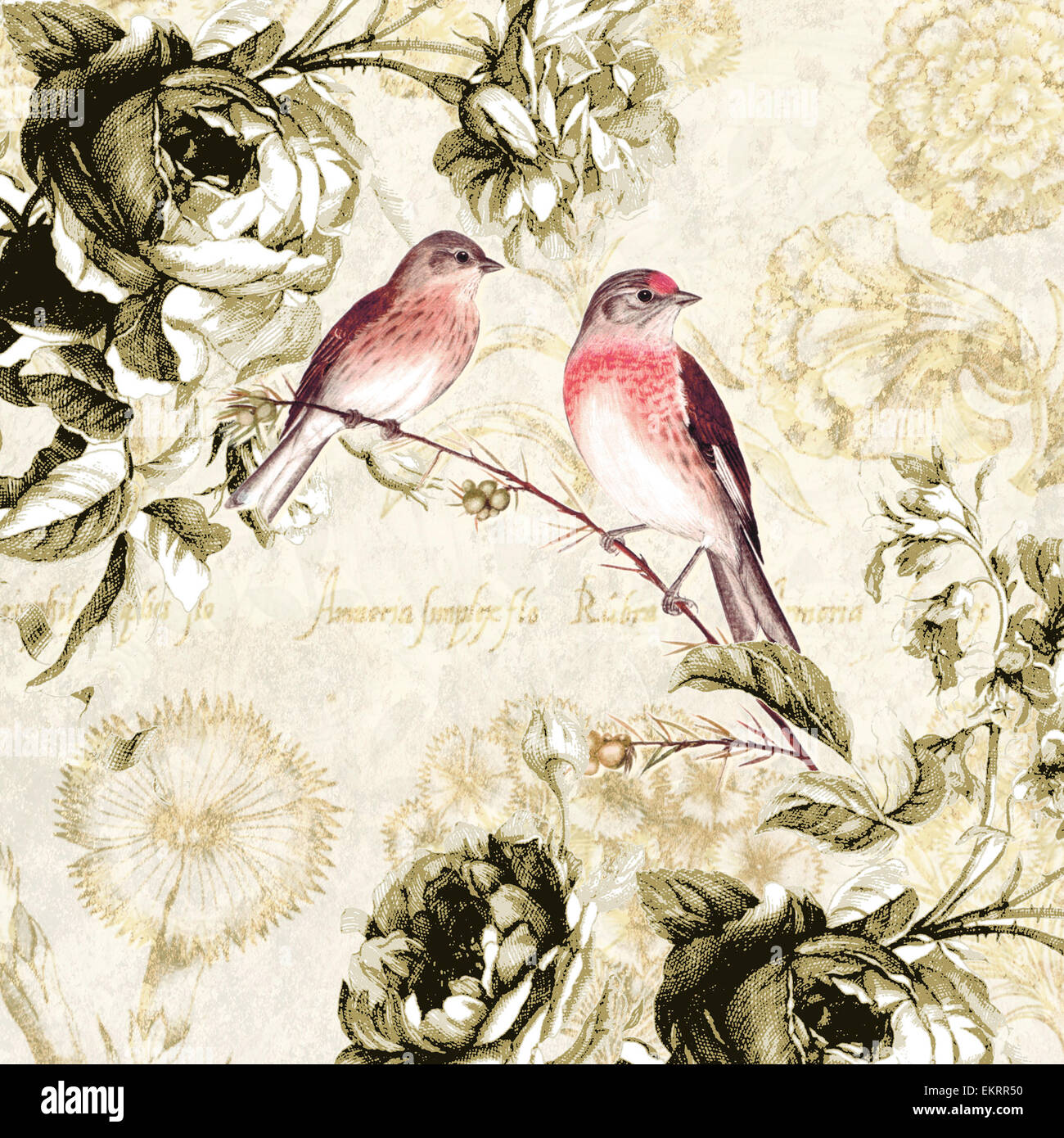 illustration, birds, botany, graphic, flower, design, paper, drawing