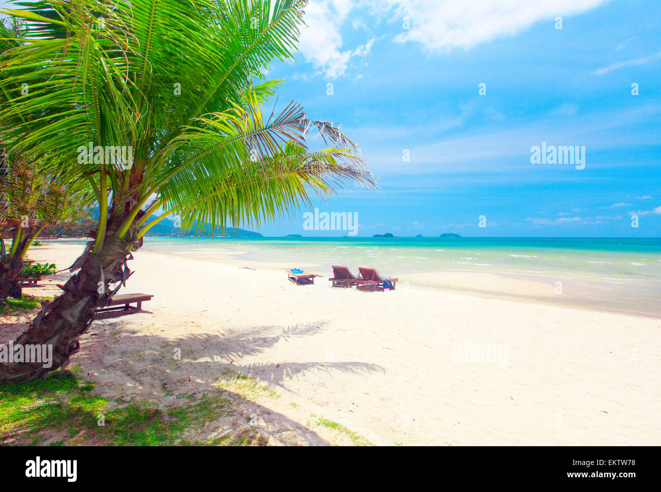 Tropical Beach With Coconut Palm Stock Photo Alamy