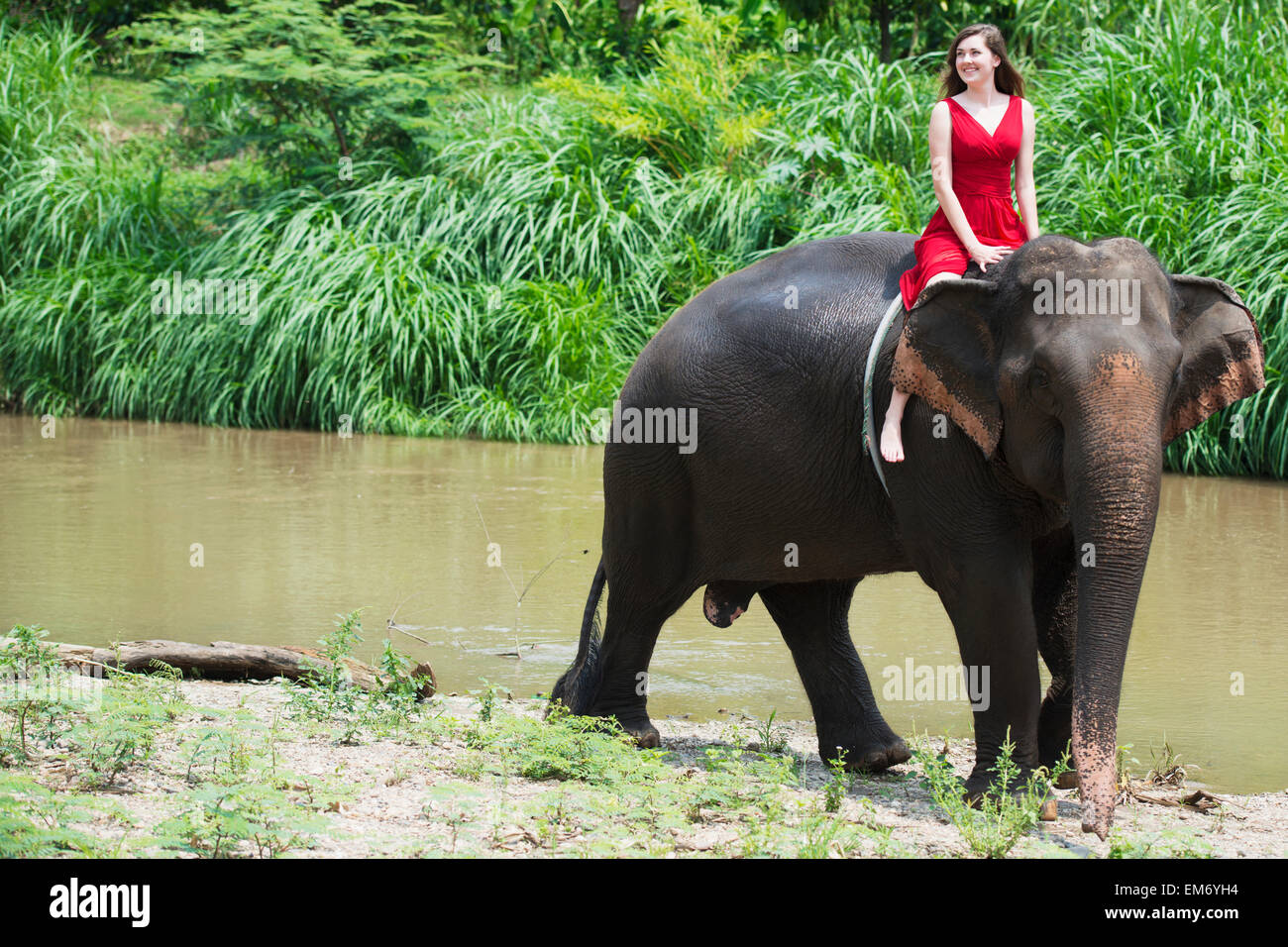 Girl riding an elephant; Chiang Mai, Thailand Stock Photo, Royalty Free Image 81287952 Alamy