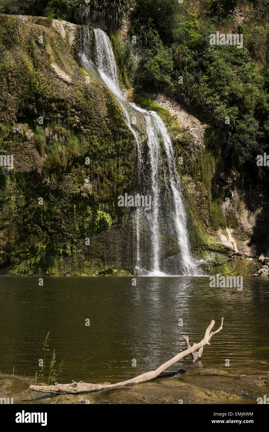 Waihi falls near Dannevirke and Pongaroa, New Zealand Stock Photo