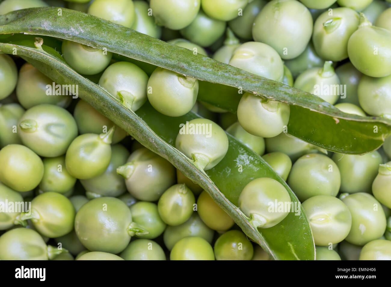 Green Peas Background Texture Vegetable Stock Photo Alamy