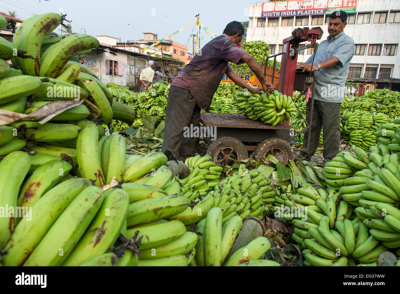 Banana sellers and workers weighing bananas on Broadway ...
