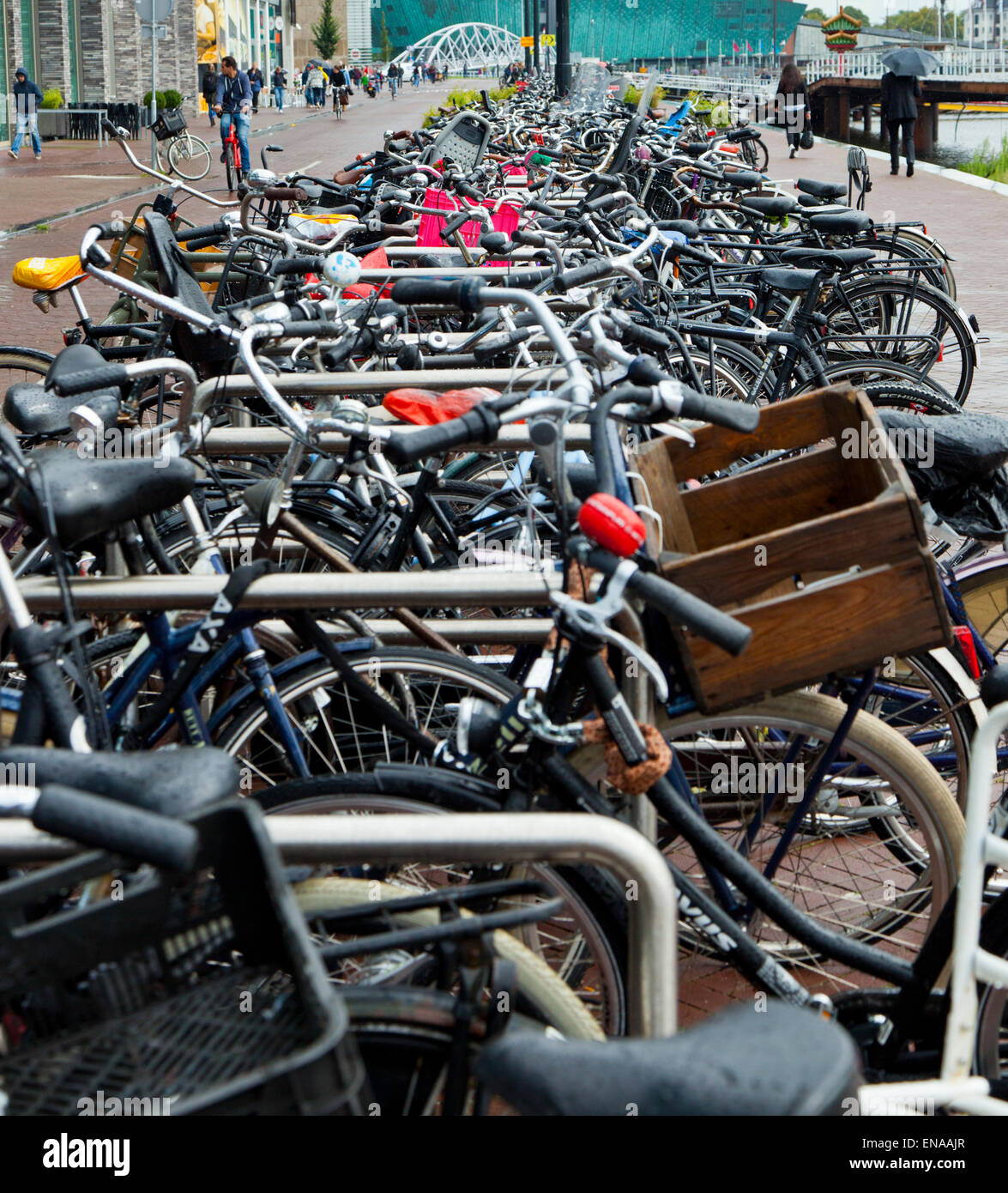 Bikes lined up in street in Amsterdam Stock Photo, Royalty Free Image