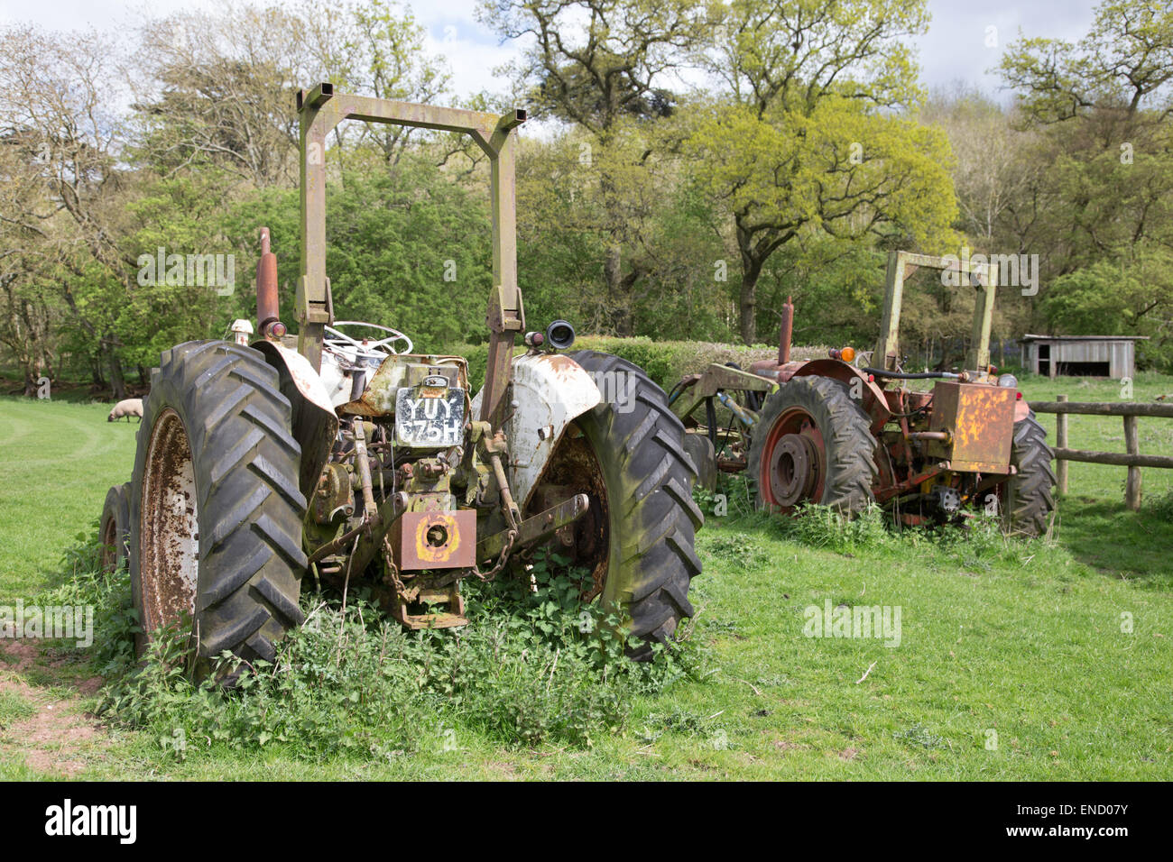 Old farm tractors, England, UK Stock Photo 82034847 Alamy