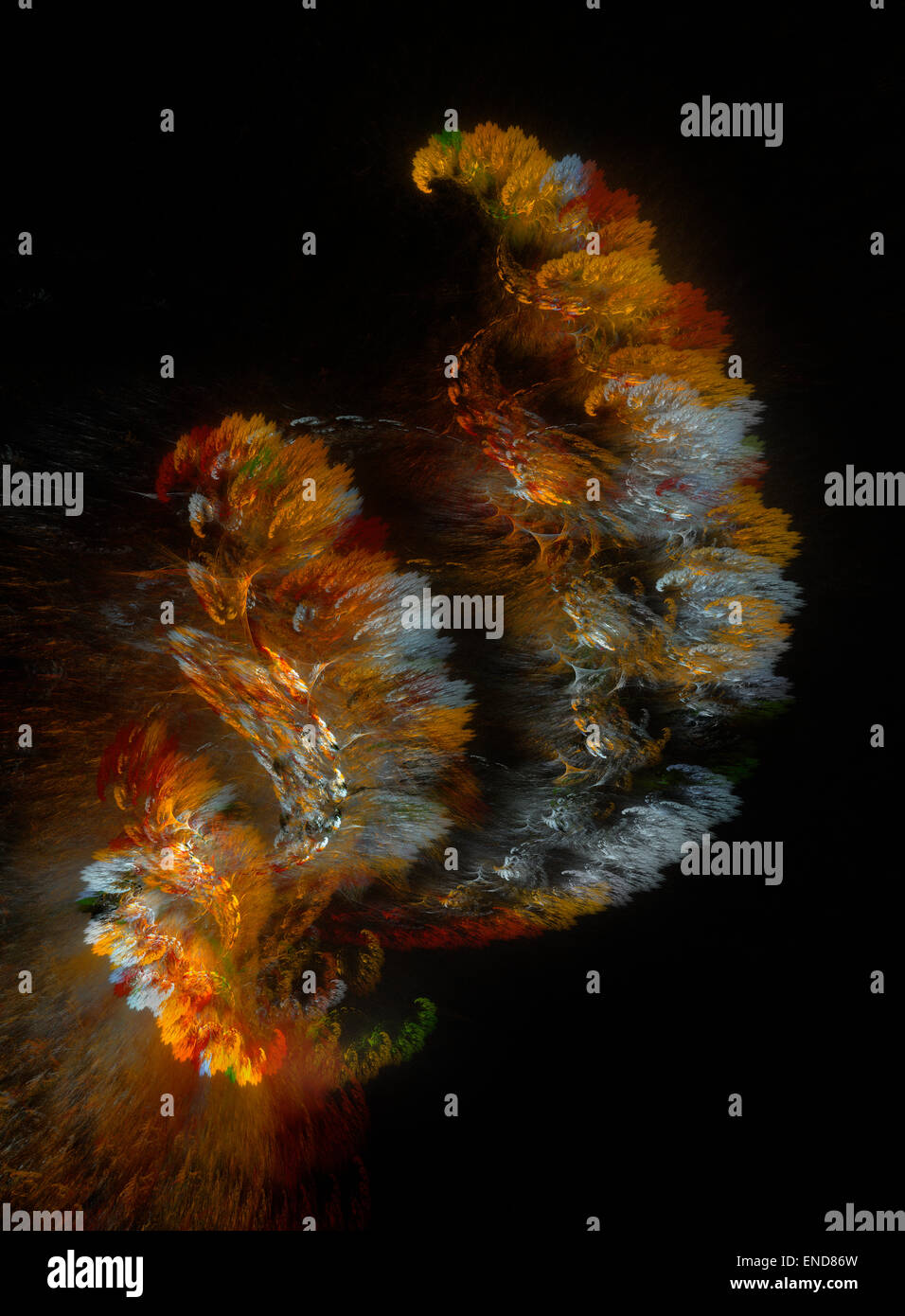 Fan Of Feathers Stock Photo, Royalty Free Image: 82041089 - Alamy