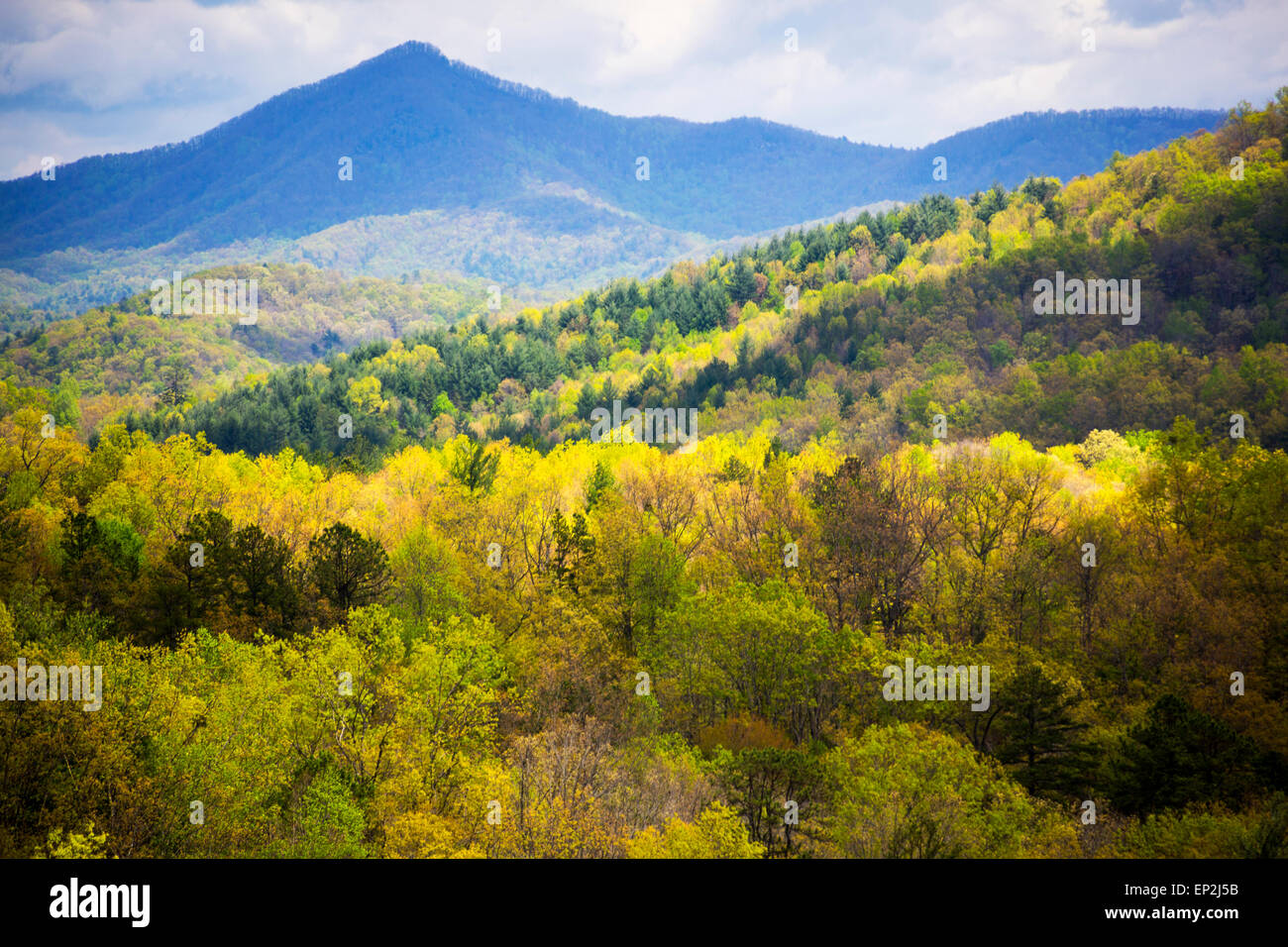 View from Popcorn Overlook, Chattahoochee National Forest,
