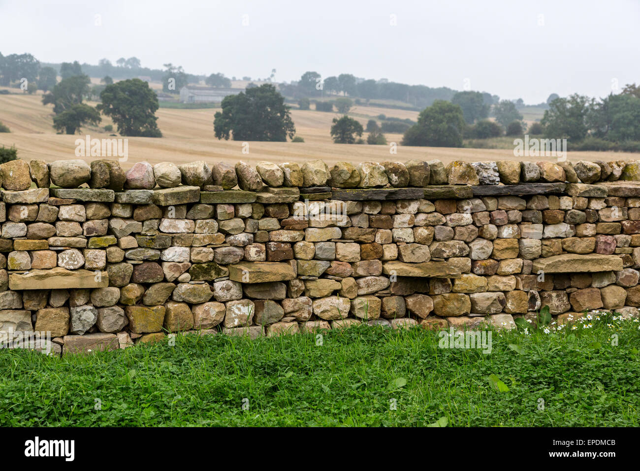 UK England Yorkshire Stone Wall Farmland In Background Stock