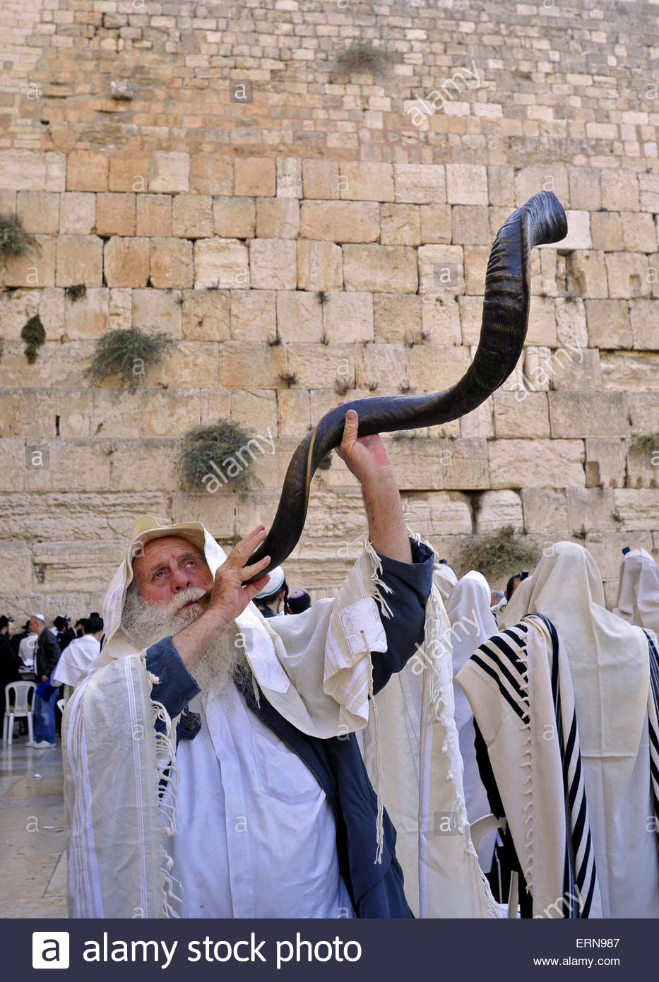 Religious jew blowing the shofar at the kotel during new year Stock